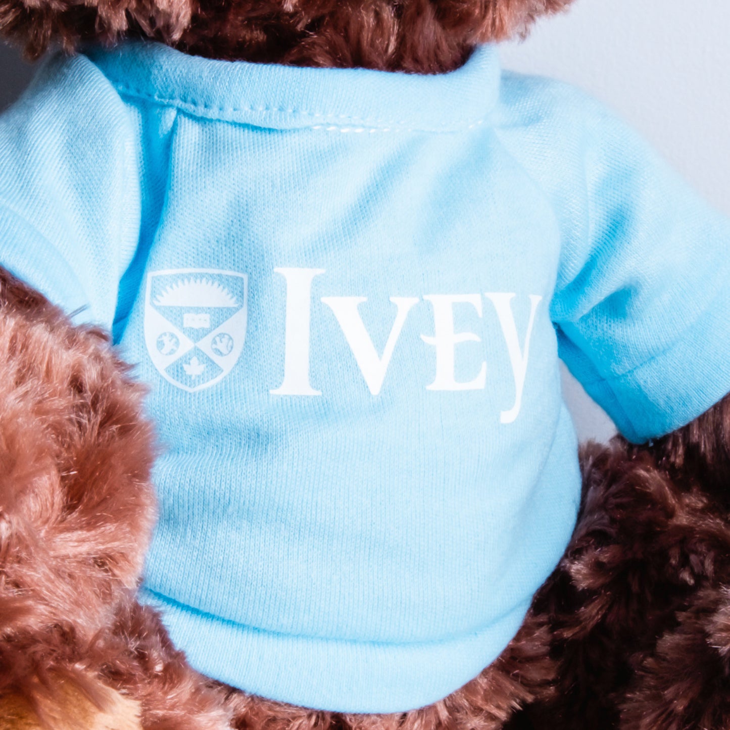 GUND® Philbin Bear
